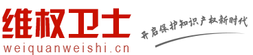 維全衛(wèi)士技術(shù)服務(wù)有限公司